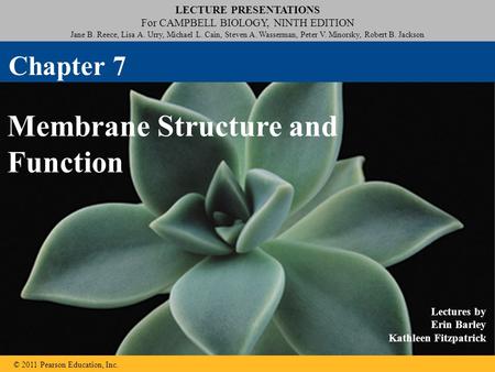© 2011 Pearson Education, Inc. LECTURE PRESENTATIONS For CAMPBELL BIOLOGY, NINTH EDITION Jane B. Reece, Lisa A. Urry, Michael L. Cain, Steven A. Wasserman,