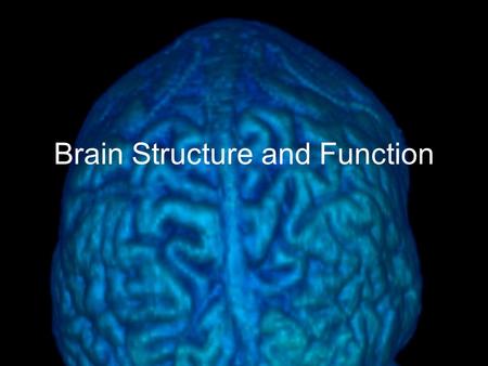 Brain Structure and Function. “If the human brain were so simple that we could understand it, we would be so simple that we couldn’t” -Emerson Pugh, The.