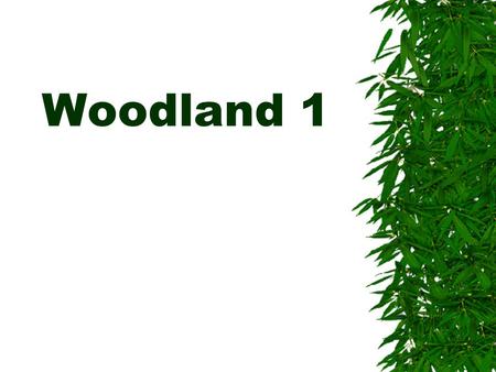Woodland 1. Woodland 2 Species of animal morelesser Average truck circumference largersmaller Trees frequency moreLess Shrubs and saplings frequency lessermore.