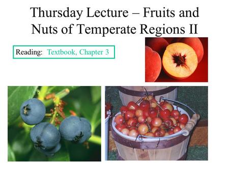 Thursday Lecture – Fruits and Nuts of Temperate Regions II