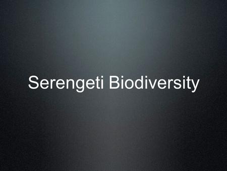 Serengeti Biodiversity
