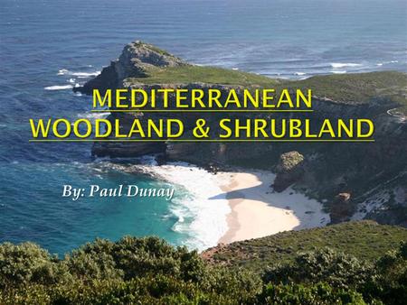 Mediterranean Woodland & Shrubland