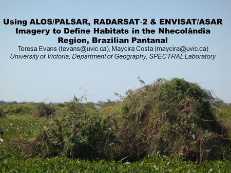 Using ALOS/PALSAR, RADARSAT ‐ 2 & ENVISAT/ASAR Imagery to Define Habitats in the Nhecolândia Region, Brazilian Pantanal Teresa Evans