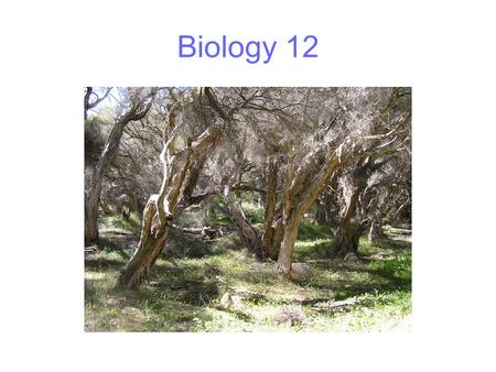 Biology 12. Matter and energy In most natural ecosystems, matter cycles and is re-used Energy flows and is lost At each trophic level most of the energy.
