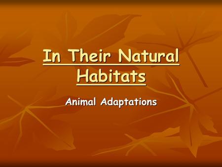 In Their Natural Habitats Animal Adaptations. INTRODUCTION The place where an organism lives is called a habitat The place where an organism lives is.