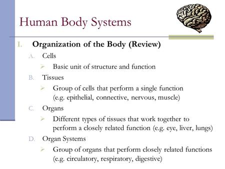 Human Body Systems Organization of the Body (Review) Cells