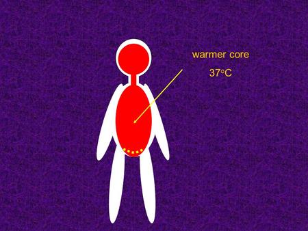 Warmer core 37 o C. perpheral (skin) thermoreceptors central thermoreceptors hypotalamus, spinal cord centre of thermoregulation hypotalamus ANS - sympathicus.