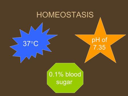 HOMEOSTASIS pH of 7.35 37C 0.1% blood sugar.