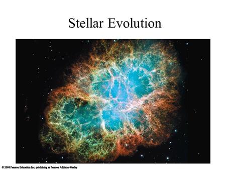 Stellar Evolution. The Mass-Luminosity Relation Our goals for learning: How does a star’s mass affect nuclear fusion?