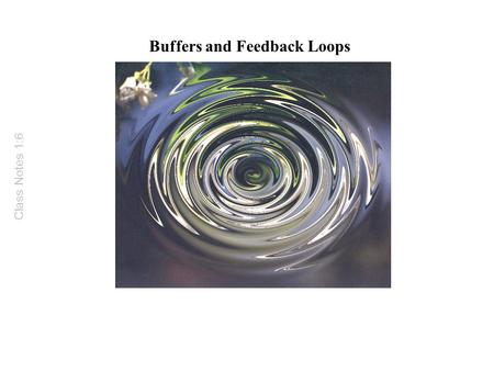 Buffers and Feedback Loops Class Notes 1:6. Buffers and Feedback Loops Buffers are agents or regulatory mechanisms that reduce or minimize fluctuations.