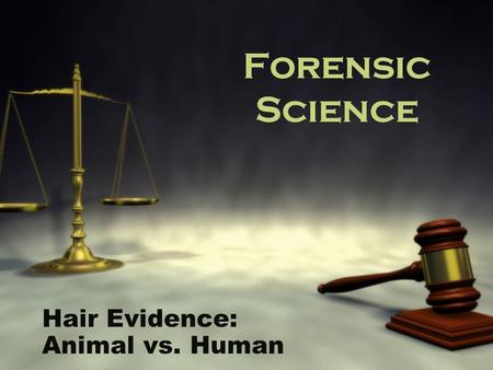 Hair Evidence: Animal vs. Human