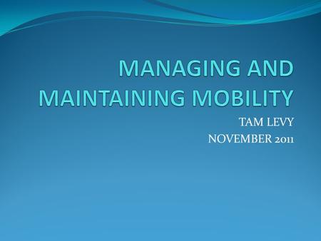 TAM LEVY NOVEMBER 2011. GAIT AND MUSCLE ACTIVITY 2 main components – STANCE and SWING STANCE – the phase from when the foot strikes the ground (60%) SWING.