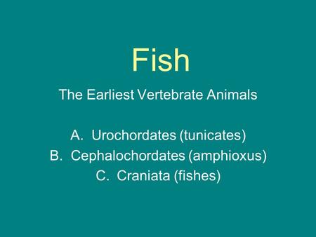 Fish The Earliest Vertebrate Animals Urochordates (tunicates)