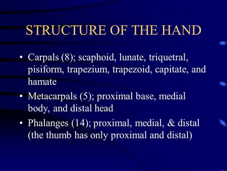 STRUCTURE OF THE HAND Carpals (8); scaphoid, lunate, triquetral, pisiform, trapezium, trapezoid, capitate, and hamate Metacarpals (5); proximal base, medial.