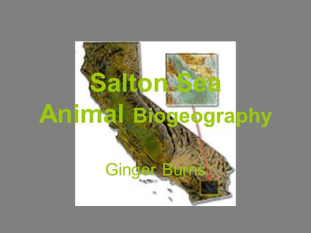 Salton Sea Animal Biogeography
