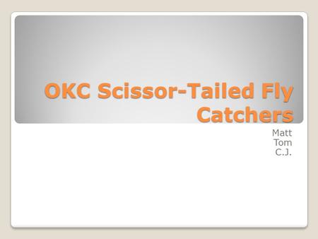 OKC Scissor-Tailed Fly Catchers Matt Tom C.J.. Location Our sports team is located in Oklahoma city, Oklahoma The sport we choose was Football We decided.