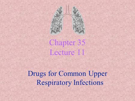 Drugs for Common Upper Respiratory Infections
