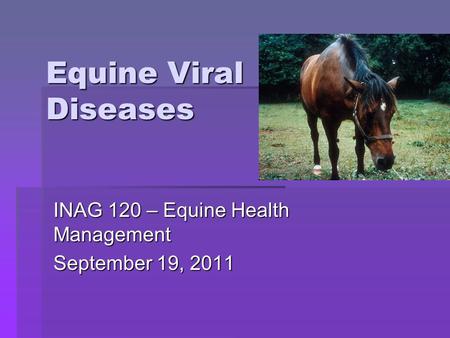 Equine Viral Diseases INAG 120 – Equine Health Management September 19, 2011.