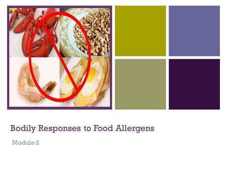 + Bodily Responses to Food Allergens Module 2. + Module Content  Definitions  Food allergy vs. food intolerances  Physiological responses to food allergens.