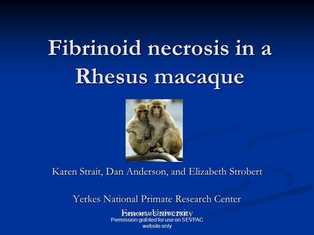 Fibrinoid necrosis in a Rhesus macaque Karen Strait, Dan Anderson, and Elizabeth Strobert Yerkes National Primate Research Center Emory University Presented.