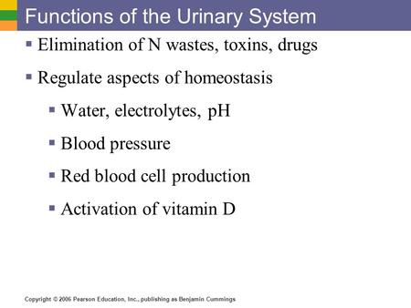Functions of the Urinary System