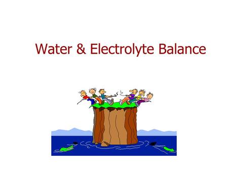 Water & Electrolyte Balance