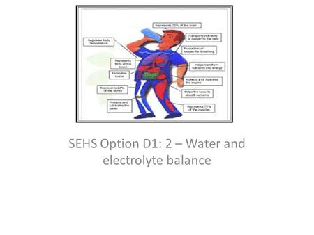 SEHS Option D1: 2 – Water and electrolyte balance