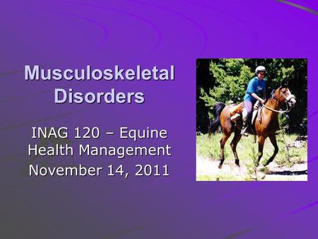 Musculoskeletal Disorders INAG 120 – Equine Health Management November 14, 2011.