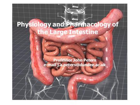 Physiology and Pharmacology of the Large Intestine Professor John Peters