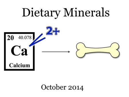 Dietary Minerals October 2014. REMINDER These slides are supplementary notes to help you visualize important parts of the chalkboard lectures. They do.