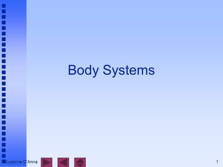 Suzanne D'Anna1 Body Systems. Suzanne D'Anna2 Body Systems n integumentary n skeletal n muscular n nervous n endocrine n cardiovascular n lymphatic and.