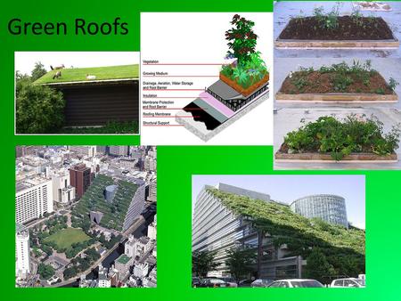 Green Roofs.