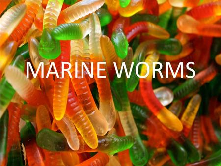 MARINE WORMS. Parasite Project Power point presentation Requirements: – Title slide (parasite and group member names) – Disease information (multiple.