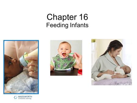 Chapter 16 Feeding Infants.