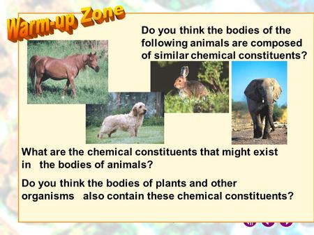 Warm-up Zone Do you think the bodies of the following animals are composed of similar chemical constituents? What are the chemical constituents that might.