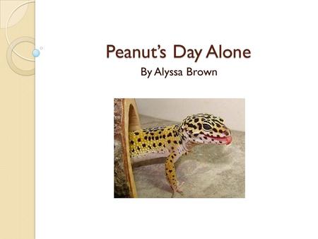 Peanut’s Day Alone By Alyssa Brown. Today, Peanut, the gecko, was spending her first day alone. Her owner was going to school. Peanut was very nervous.