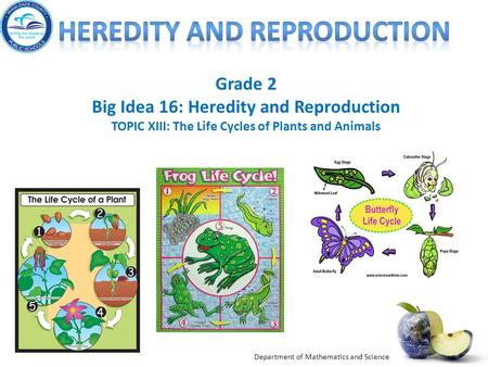 Heredity and reproduction