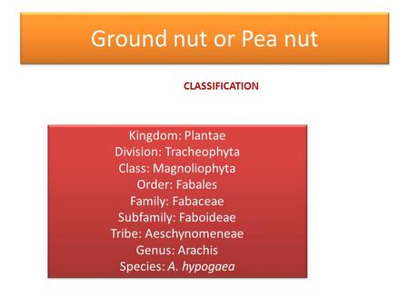 Ground nut or Pea nut CLASSIFICATION