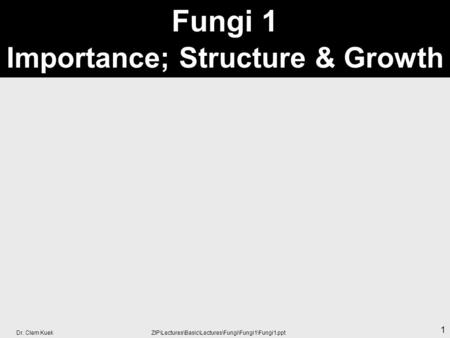 Fungi 1 Importance; Structure & Growth