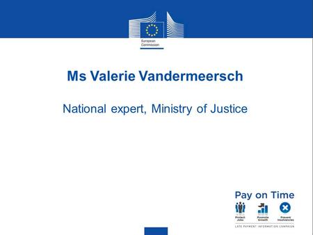 Ms Valerie Vandermeersch National expert, Ministry of Justice.