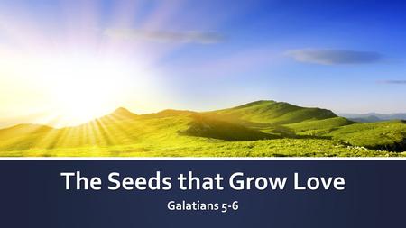 The Seeds that Grow Love Galatians 5-6. I. The contrast.