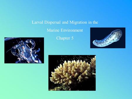 Larval Dispersal and Migration in the Marine Environment Chapter 5.