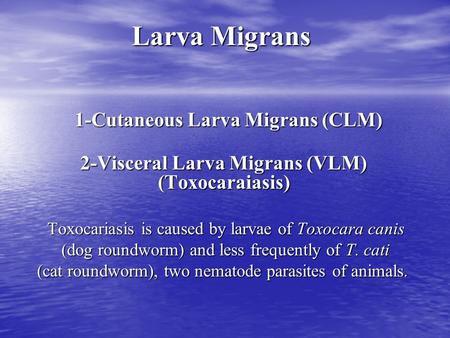 Larva Migrans 1-Cutaneous Larva Migrans (CLM)