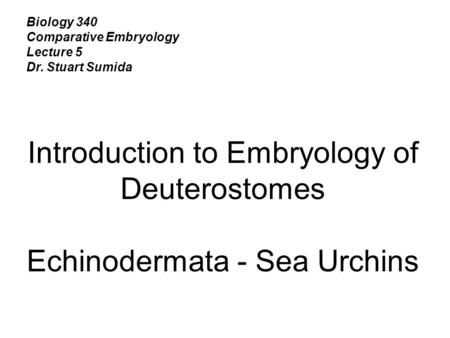 Introduction to Embryology of Deuterostomes