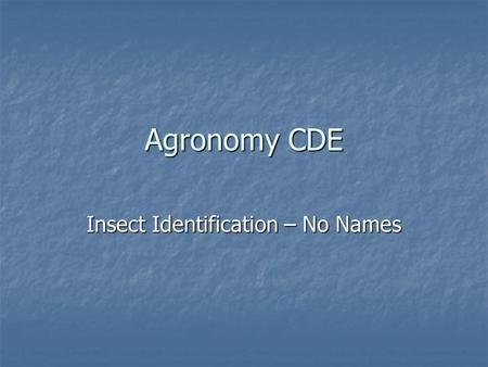 Agronomy CDE Insect Identification – No Names.