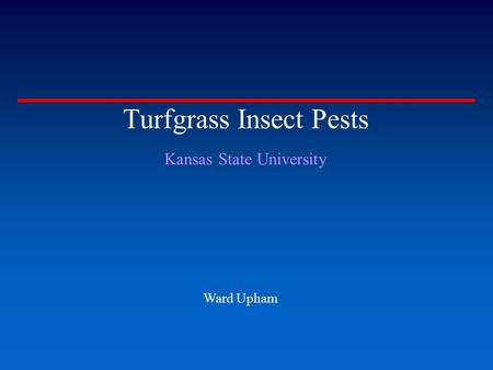 Turfgrass Insect Pests