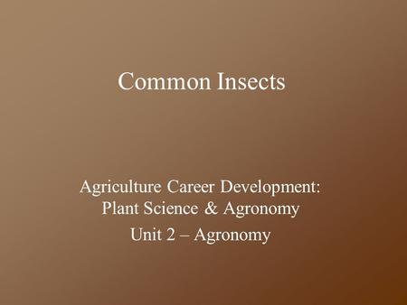 Common Insects Agriculture Career Development: Plant Science & Agronomy Unit 2 – Agronomy.