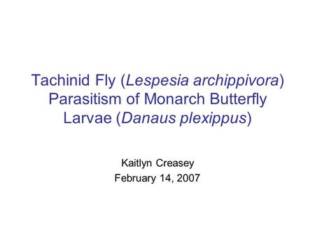 Tachinid Fly (Lespesia archippivora) Parasitism of Monarch Butterfly Larvae (Danaus plexippus) Kaitlyn Creasey February 14, 2007.