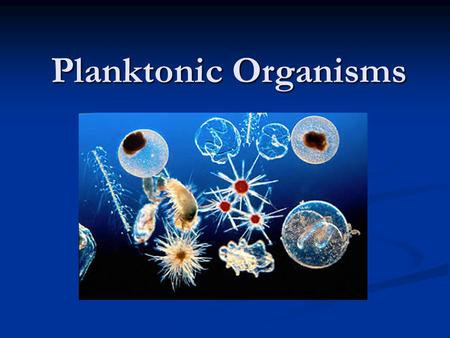 Planktonic Organisms. Introduction Plankton = Organisms that drift in the water Plankton = Organisms that drift in the water Cannot move against the current.
