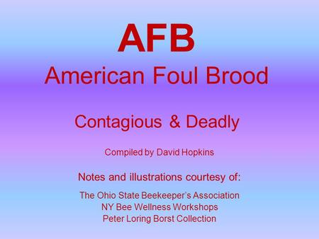 AFB American Foul Brood Contagious & Deadly Compiled by David Hopkins Notes and illustrations courtesy of: The Ohio State Beekeeper’s Association NY Bee.